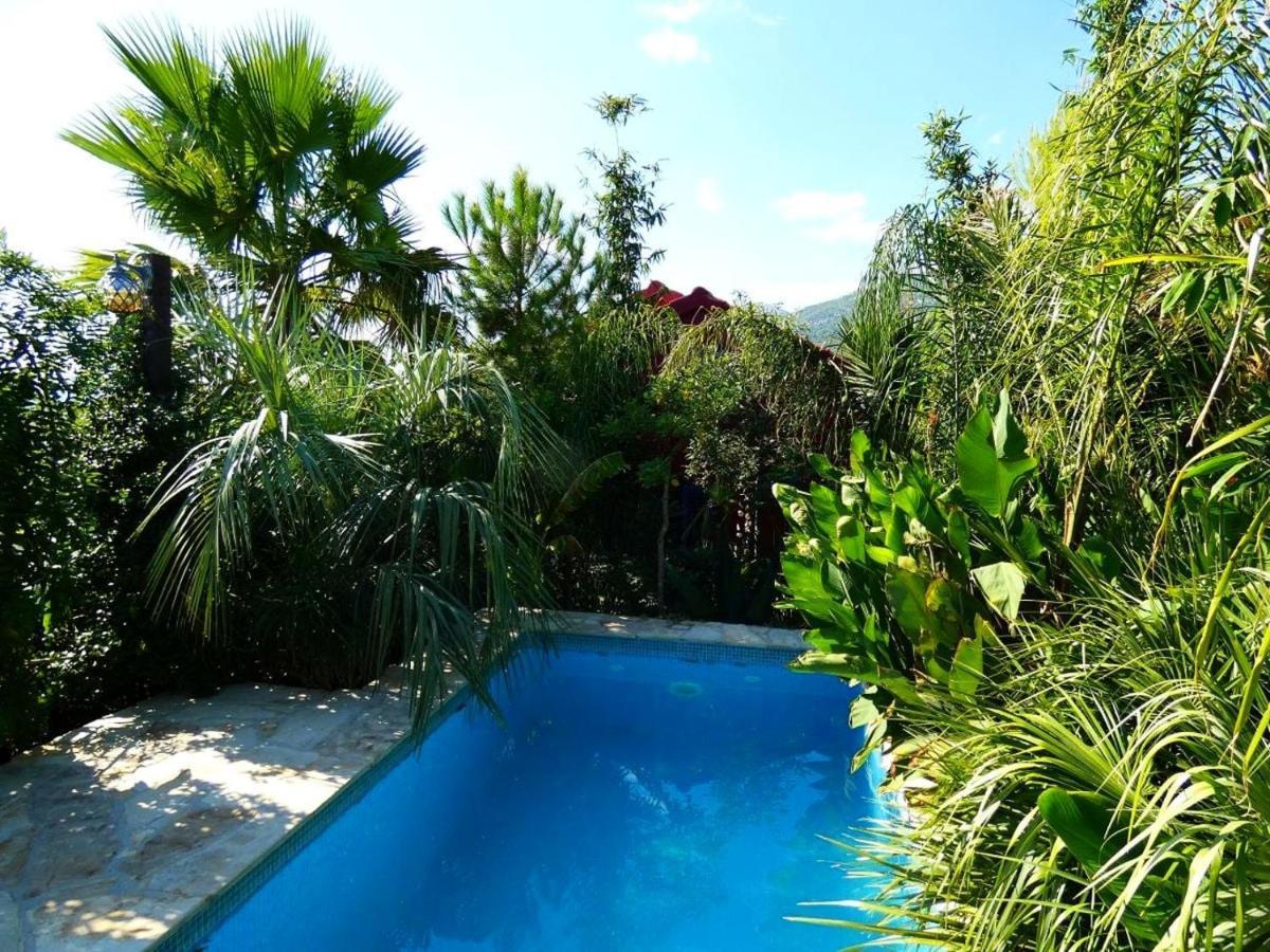 Villa Tropica, Total Privacy, Tropical Garden And Private Pool Kaštela Exterior foto